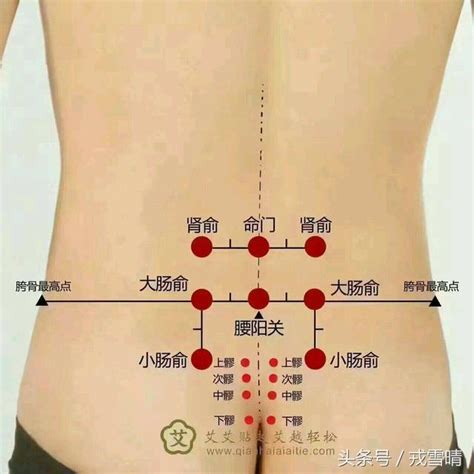 八廖|八髎穴：男怕u202cu202c薄，女怕鼓